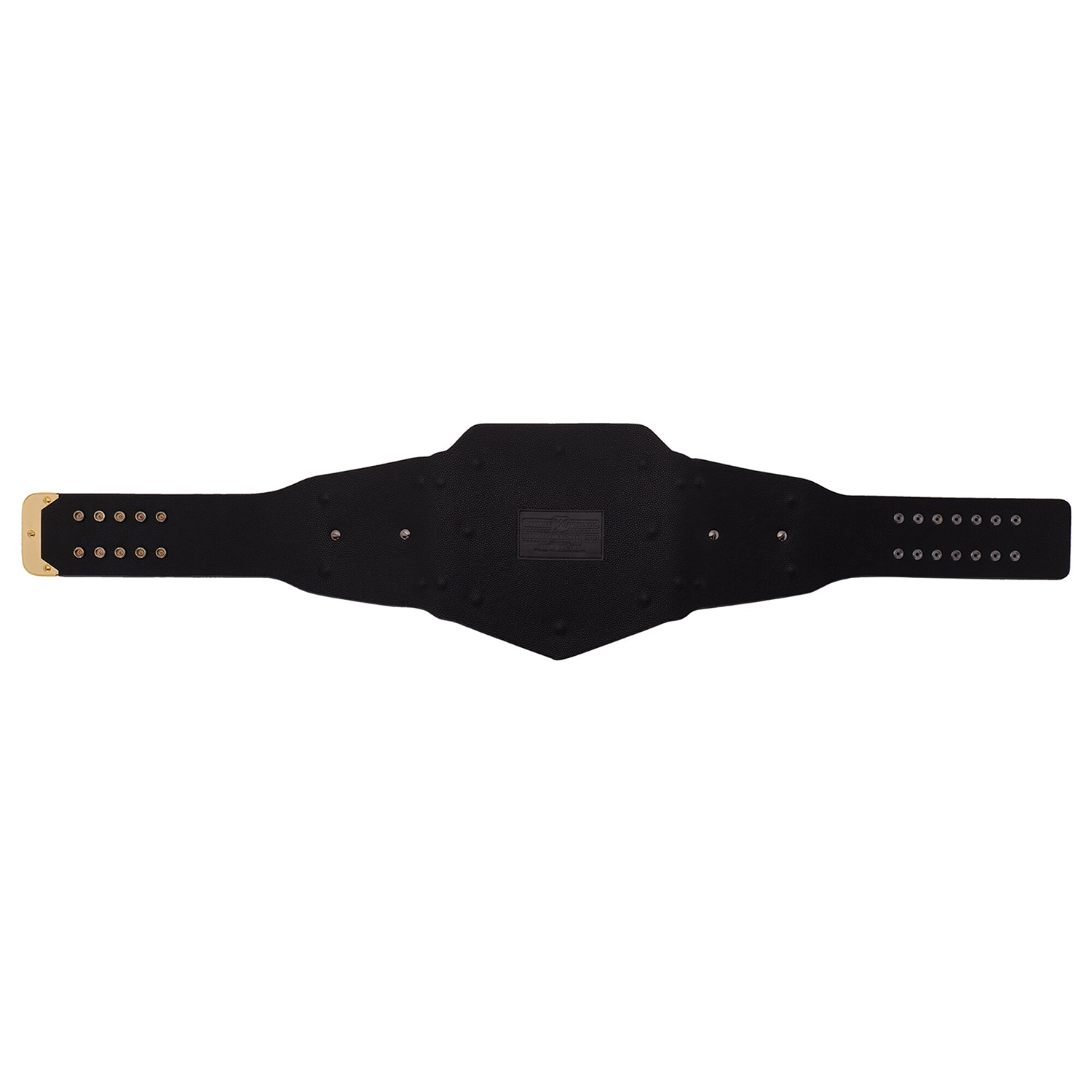 Money In The Bank 2025 Los Angeles Undisputed Championship Title Belt Replica