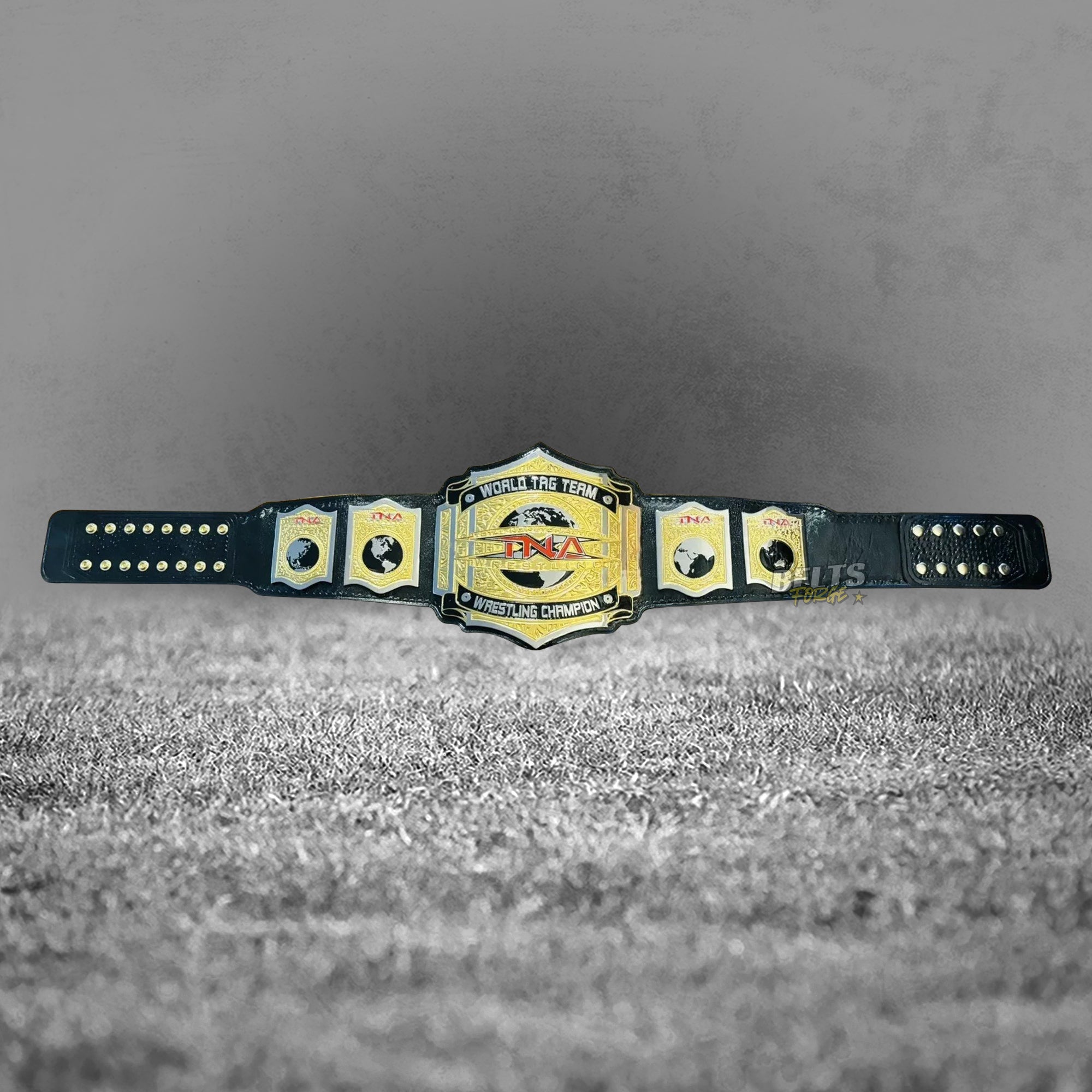 TNA World Tag Team Championship Belt center plate close-up, CNC-engraved TNA logo and World Tag Team Wrestling Champion inscription
