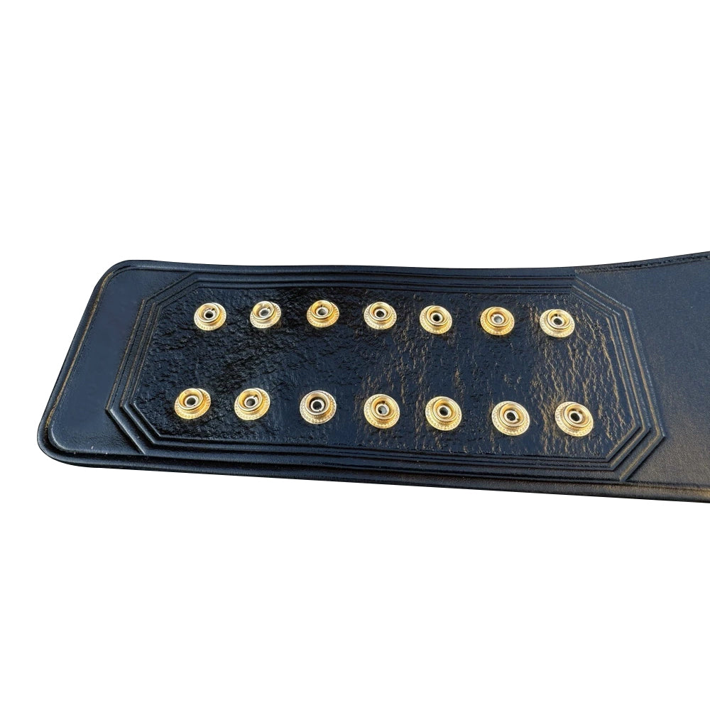 TNA X Division Wrestling Heavyweight Championship Belt Replica (Copy)