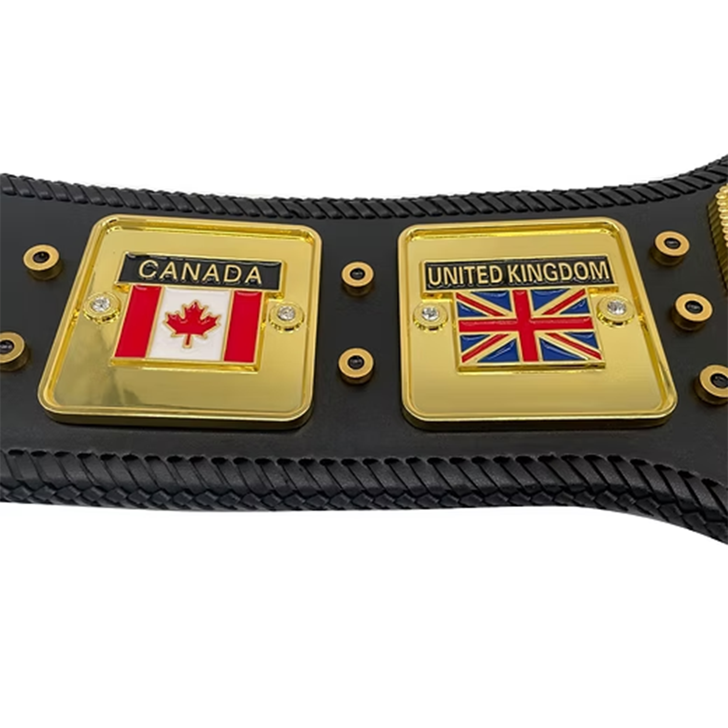 NWA Domed Globe Heavyweight Championship Belt