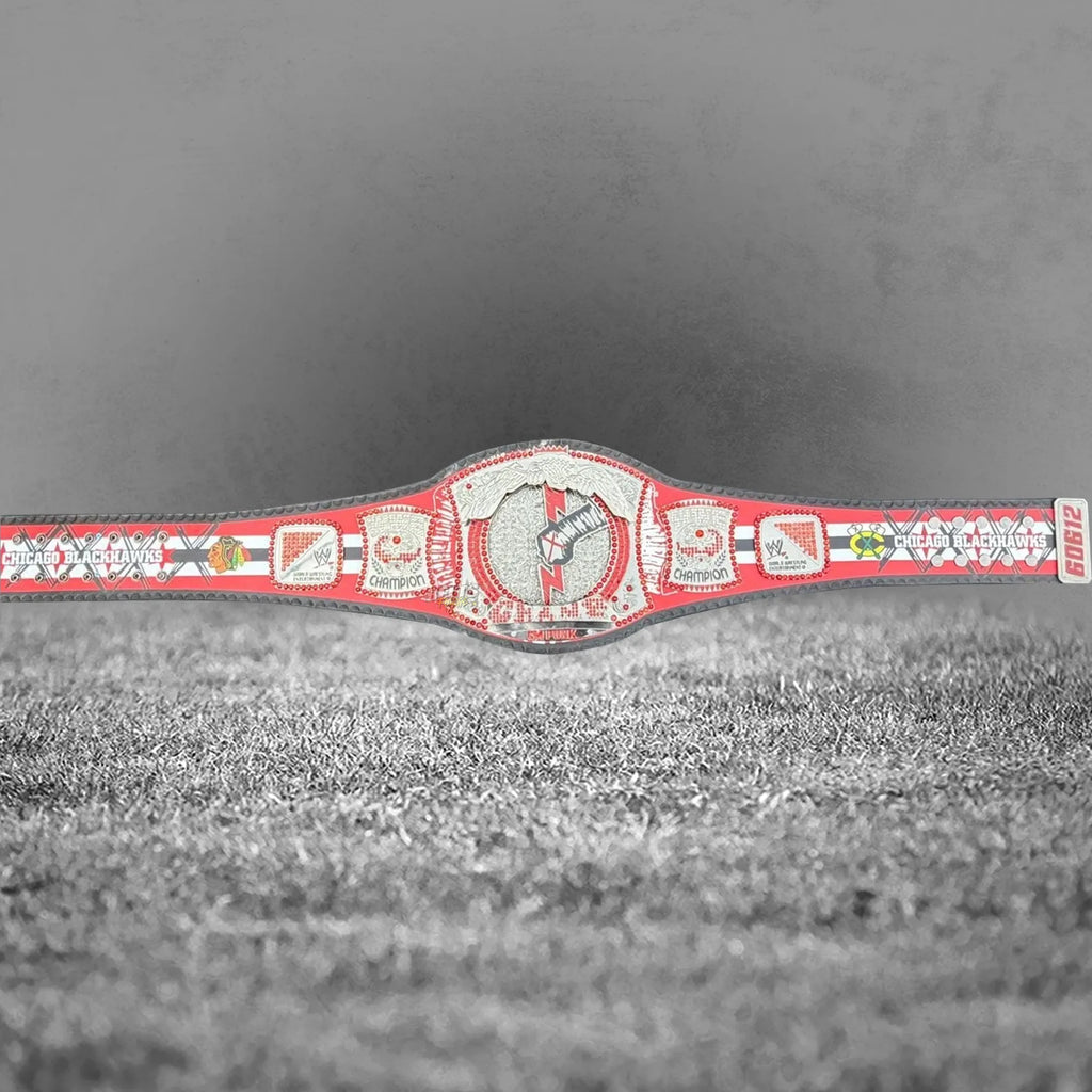 CM Punk Championship Belt right angled view showing center plate and right Champion plate
