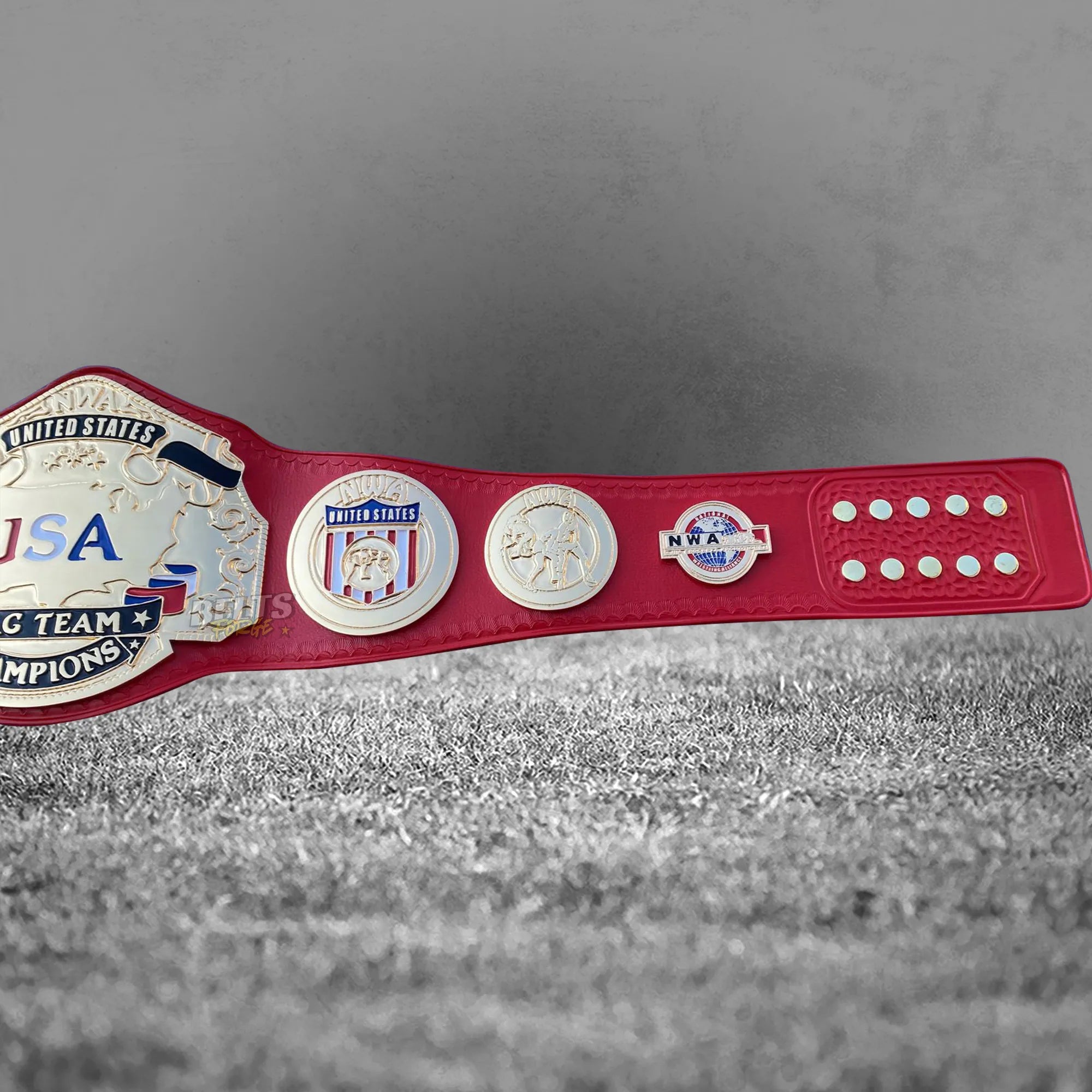 NWA USA Tag Team Championship Belt angled medallions view showing full gold-plated brass plate arrangement on red leather strap