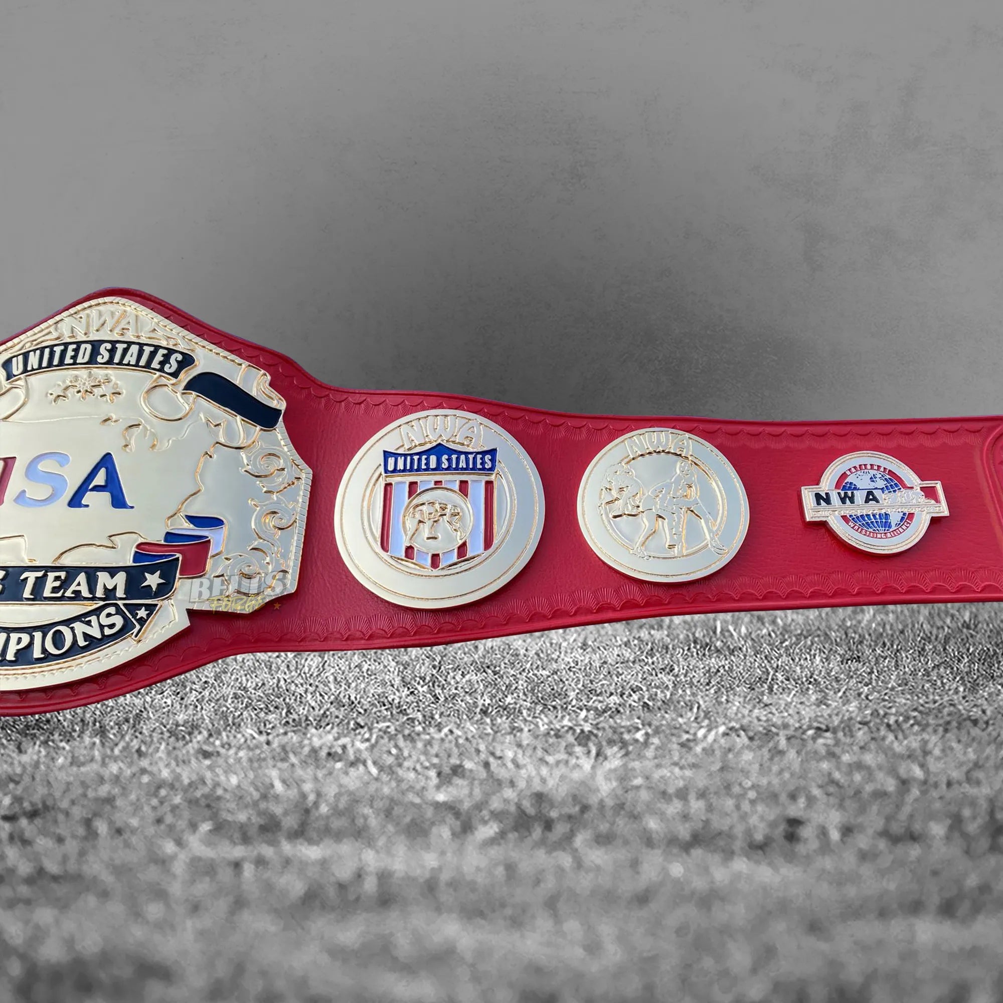 NWA USA Tag Team Championship Belt strap medallions close-up showing gold-plated NWA brass plates and genuine red leather texture