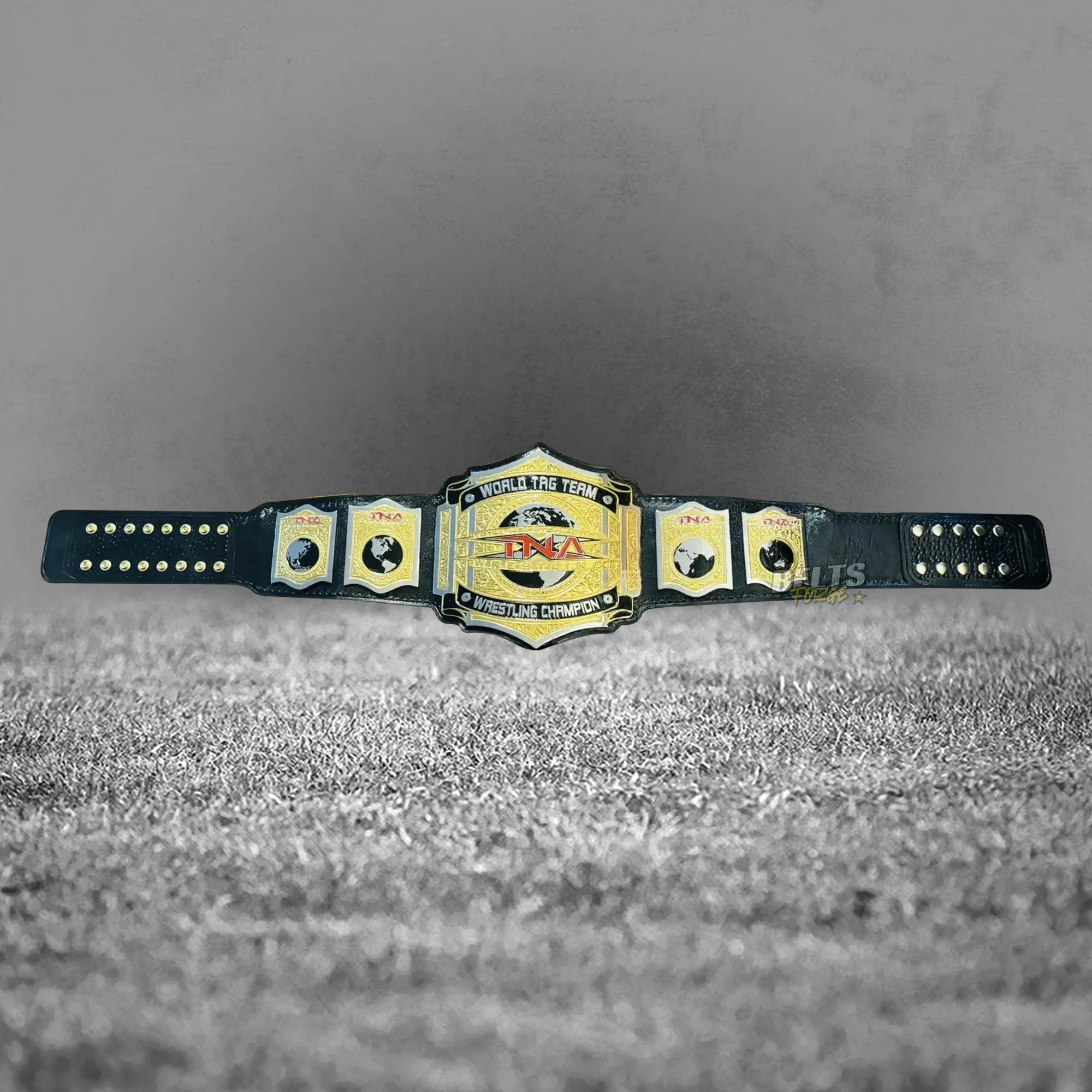 TNA World Tag Team Championship Belt side plates close-up showing gold-plated hexagonal TNA detail on leather strap