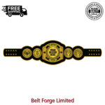 Personalized Heavyweight Award Belt, Custom Name and Logo on Gold-Plated Brass Plates - Image 2