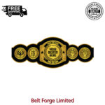 Personalized Heavyweight Award Belt, Custom Name and Logo on Gold-Plated Brass Plates - Image 4