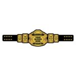 Custom Personalized Championship Belt, Gold-Plated Brass Design - Image 6