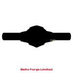 Custom Skull Wrestling Championship Belt, Personalized Gold Design - Image 4