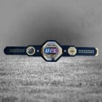 Custom Octagon Championship Belt, Capitol Edition - Image 6